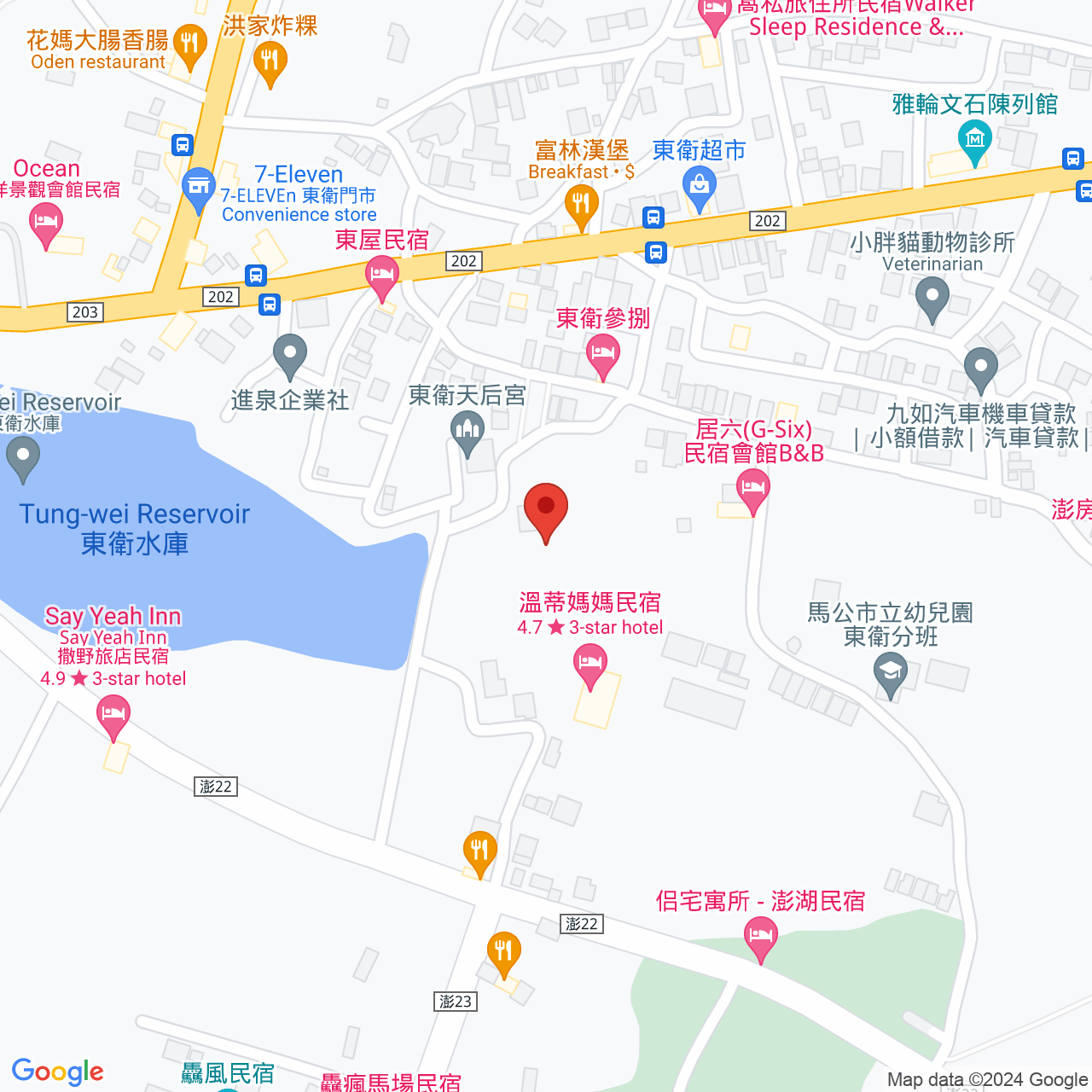 Google Map